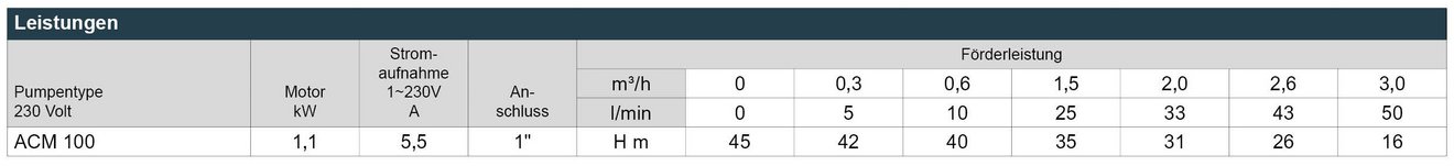 05_ACM_100_Leistungstabelle_Webseite