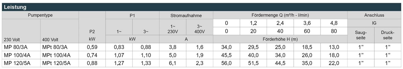 03_MPA_Leistungstabelle_Webseite