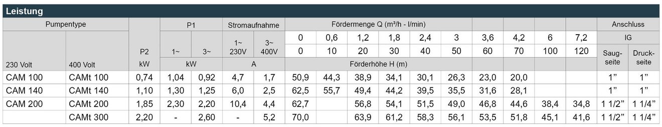 05_CAM_100_Leistungstabelle_Webseite
