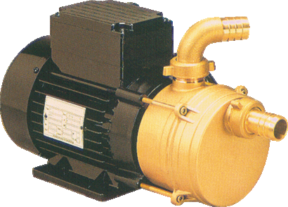 Pumpe ENM/ENT zum Umfüllen von Flüssigkeiten mit 2 Laufrichtungen